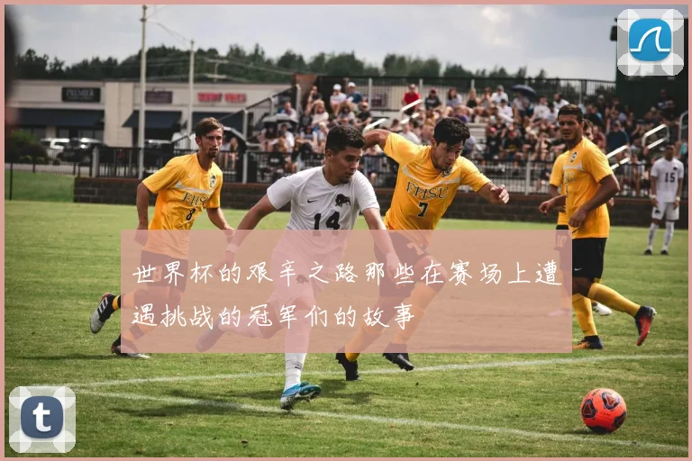 世界杯的艰辛之路那些在赛场上遭遇挑战的冠军们的故事