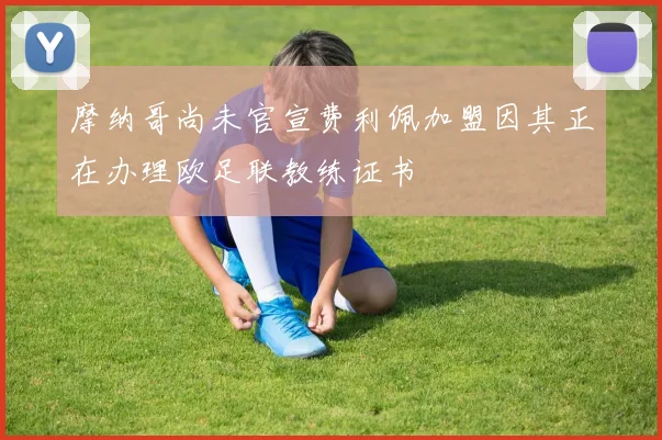 摩纳哥尚未官宣费利佩加盟因其正在办理欧足联教练证书