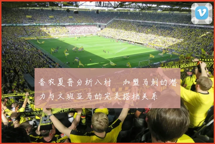 香农夏普分析八村塁加盟马刺的潜力与文班亚马的完美搭档关系